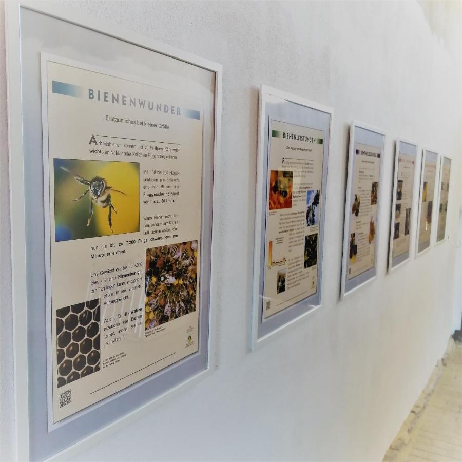 Gaestequartier Mittendrin In Coswig  Esterno foto